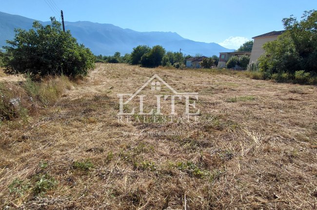 2506264 - Οικόπεδο Προς Πώληση, Πασσαρώνα, 5.500 τ.μ., €270.000