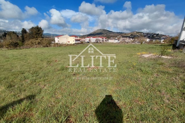 2327259 - Οικόπεδο Προς Πώληση, Πασσαρώνα, 1.450 τ.μ., €130.000