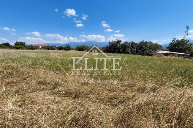 2468977 - Αγροτεμάχιο Προς Πώληση, Μπιζάνιο, 5.470 τ.μ., €85.000
