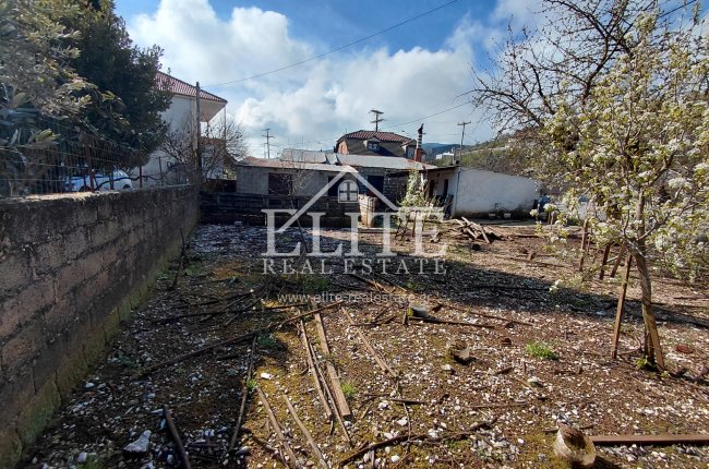 2327214 - Οικόπεδο Προς Πώληση, Πασσαρώνα, 320 τ.μ., €80.000